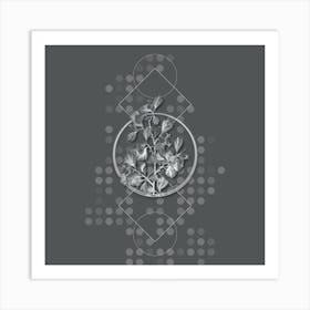 Vintage Spathula Leaved Thorn Flower Botanical with Line Motif and Dot Pattern in Ghost Gray n.0283 Art Print