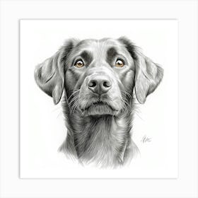 Chesapeake Bay Retriever Art Print