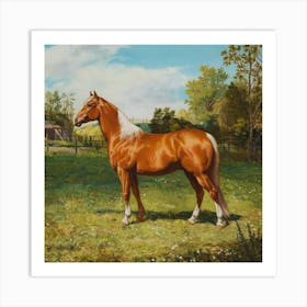 Horse In A Field Art Print