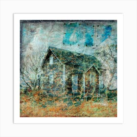 Old House In The Woods Art Print