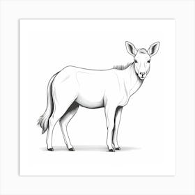 Antelope Art Print