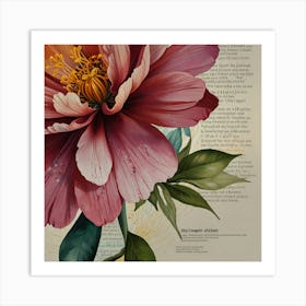 Peony 4 Art Print