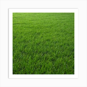 Grass Field 26 Art Print