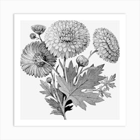 Black and White Wall Art 1 Art Print