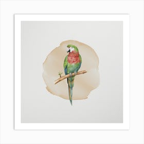 Parrot Art Print