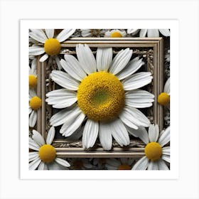 Daisy Frame 4 Art Print