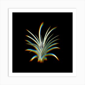 Prism Shift Pineapple Botanical Illustration on Black n.0436 Art Print