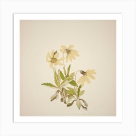 Dahlias Art Print