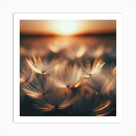 Dandelion At Sunset Art Print