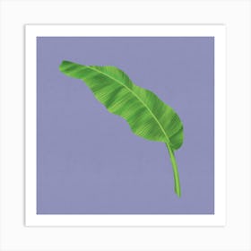 Lush Minimalism - Modern Minimalist Banana Leaf On Purple Art Print