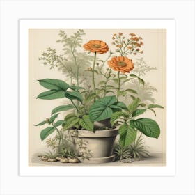 Orange Flowers In A Pot Art Print