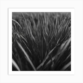 Grass Art Print