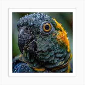 Parrot 2 Art Print