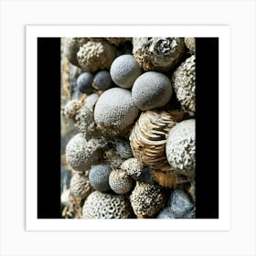 Sand And Shells Art Print