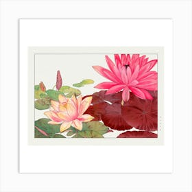 Water Lilies Art Print