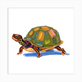 Box Turtle 05 Art Print