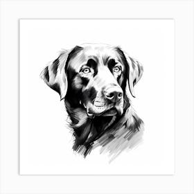 Black and White Labrador drawing 2 Art Print
