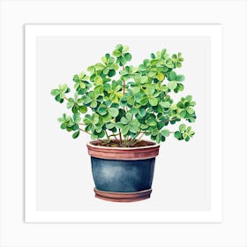 Shamrock Art Print