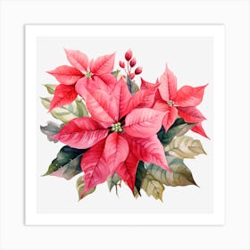 Poinsettia 4 Art Print