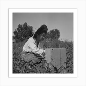 Untitled Photo, Possibly Related To Nyssa, Oregon, Fsa (Farm Security Administration) Mobile Camp, Japanes Art Print