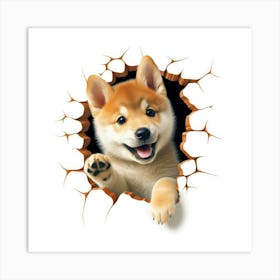 Shiba Inu 1 Art Print