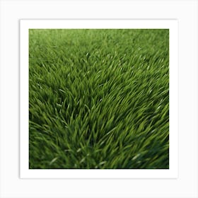 Green Grass 45 Art Print