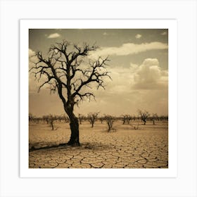 Dry Tree In The Desert 2 Art Print