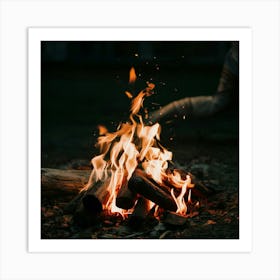 Bonfire Art Print