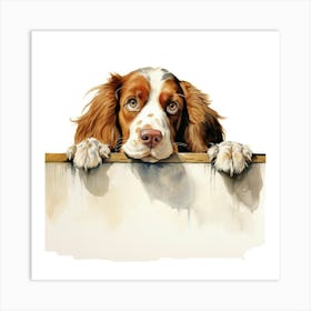 Spaniel Welsh Springer 7 Art Print