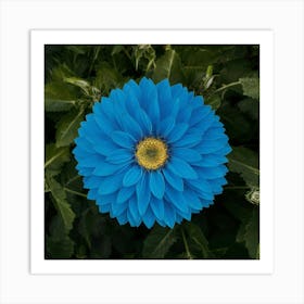 Blue Garden Art Illustration Photo Kbdnldektg Lzlh0 Oe3hw Oykjzplerrmlovh7ohtukq Art Print