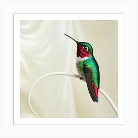 Hummingbird Wall Decoration Art Print