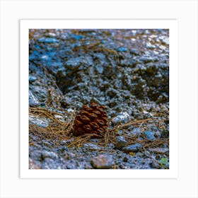 Pine Cone 20230831132255pub Art Print