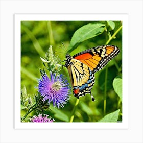 Monarch Butterfly 9 Art Print