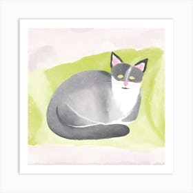 Grey Cat Art Print