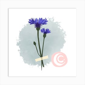 Cornflower (Water Flower) Art Print