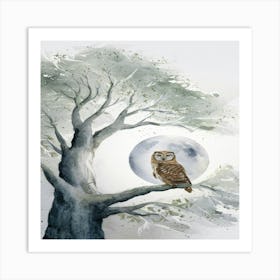 Owl In The Tree Art Print