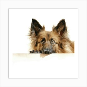 German Shepherd Dog Looking At A Blank Wall Art Print