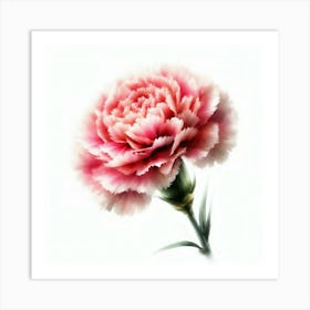 Carnation 1 Art Print