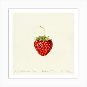 Strawberry Art Print