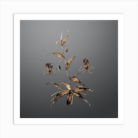 Gold Botanical Flame Lily on Soft Gray n.0958 Art Print