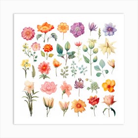 Flowers 11 Art Print