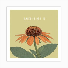 Coneflower N Art Print