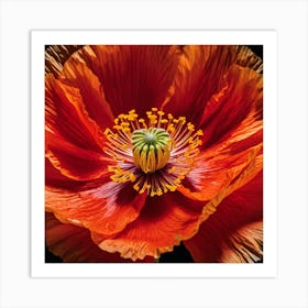 Ethereal poppy flower 4 Art Print