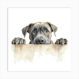 Dog Peeking Over The Wall 9 Art Print