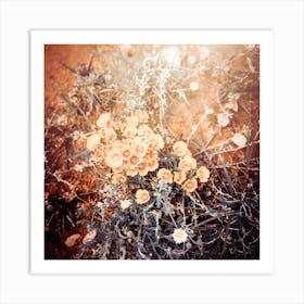 Desert Flowers Art Print