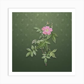 Vintage Pink Boursault Rose Botanical on Lunar Green Pattern n.1028 Art Print