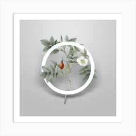 Vintage Mountain Rose Bloom Minimalist Floral Geometric Circle on Soft Gray n.0392 Art Print