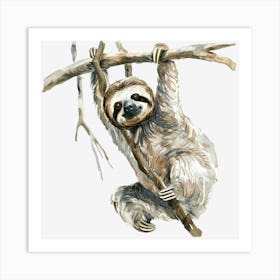 Sloth Hanging On A Branch Art Print