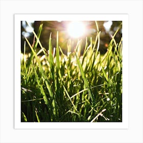 Grass In The Sun Art Print