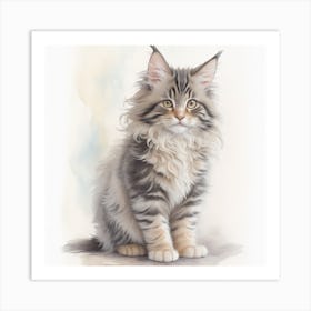 Mainecoon Kitten water color Art Print